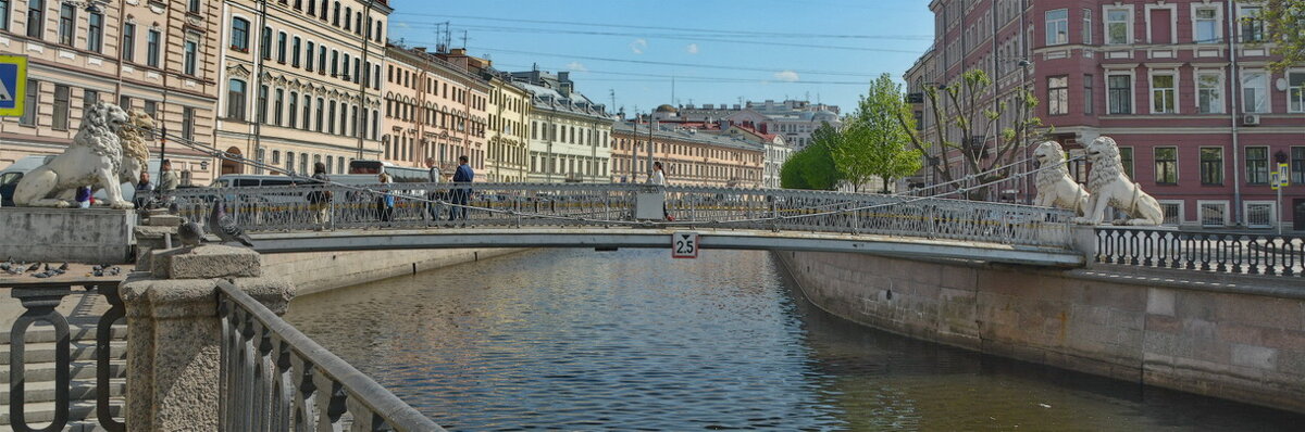 Львиный мост через канал Грибоедова - Анастасия Смирнова