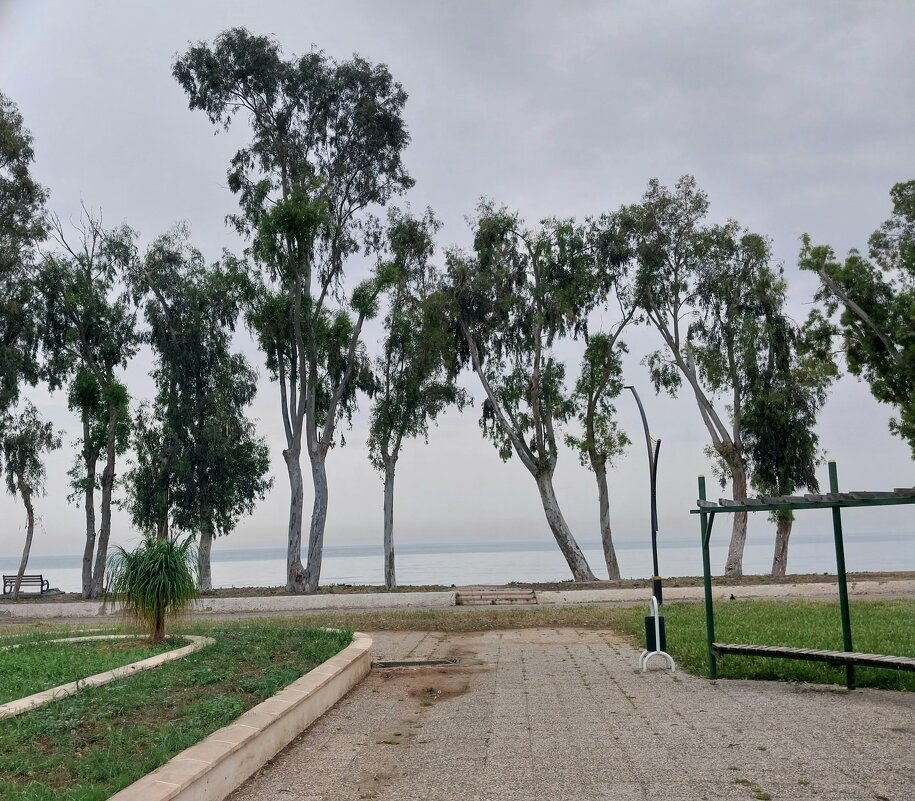 Mersin. - Murat Bukaev 