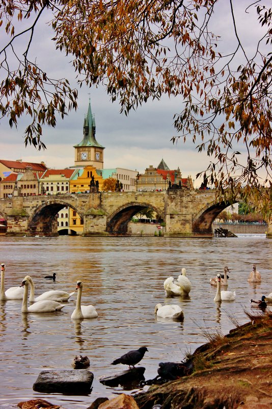 Прага - ирина )))