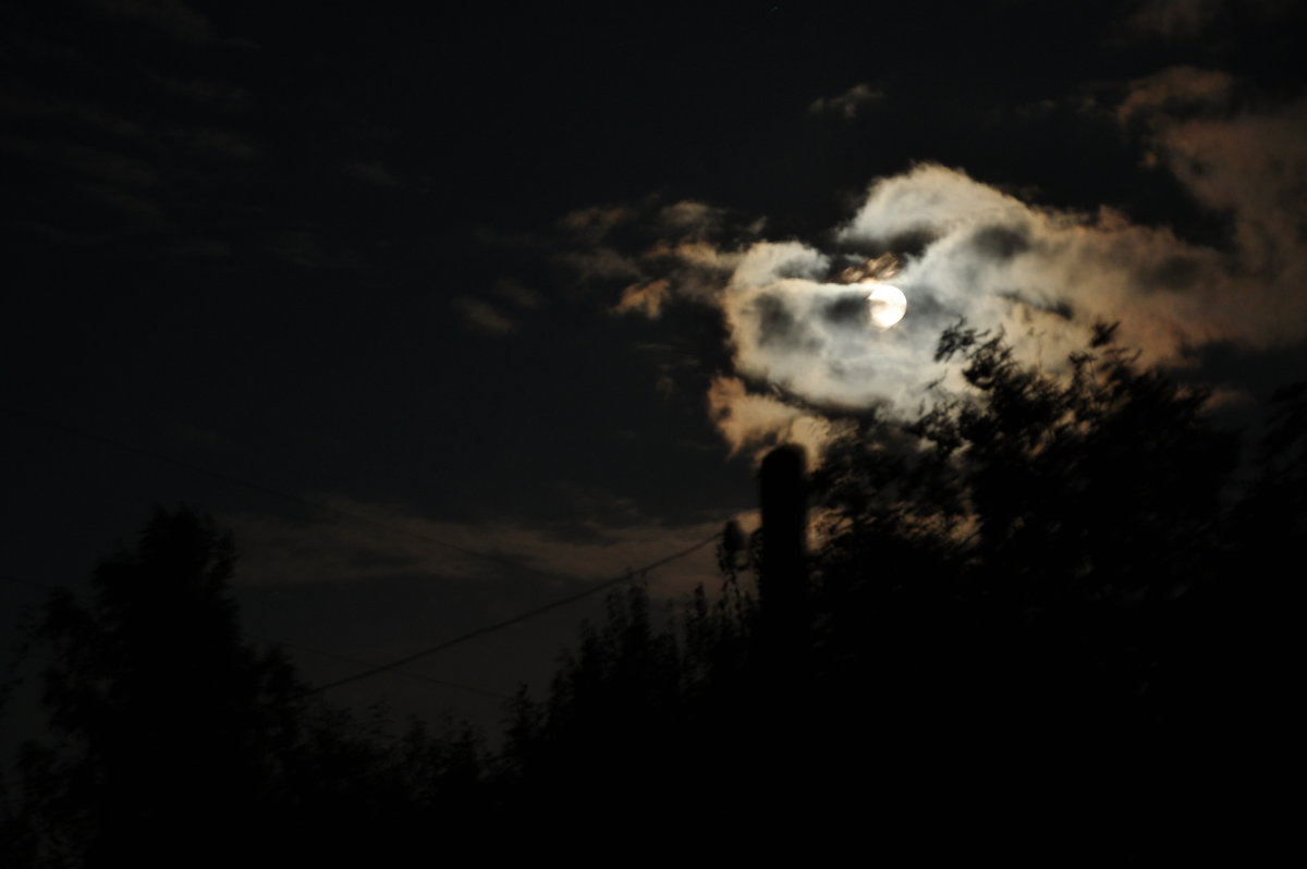 Ночь, луна, фонарь...) - Vera Hloponina