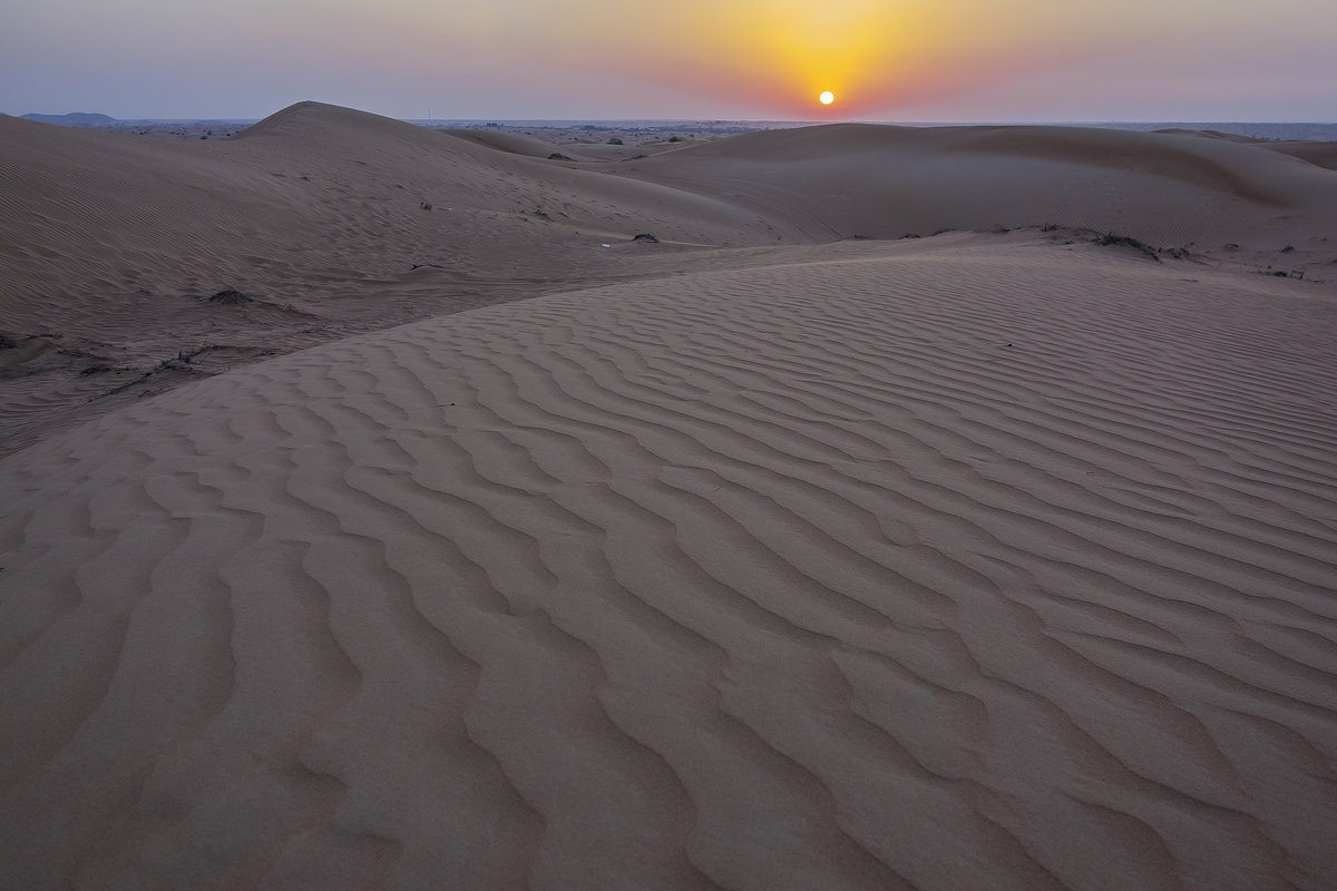 Пустынный пейзаж - Андрей Шаронов