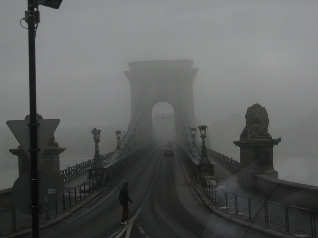 Мост Будапешта на рассвете - Александра Кривко