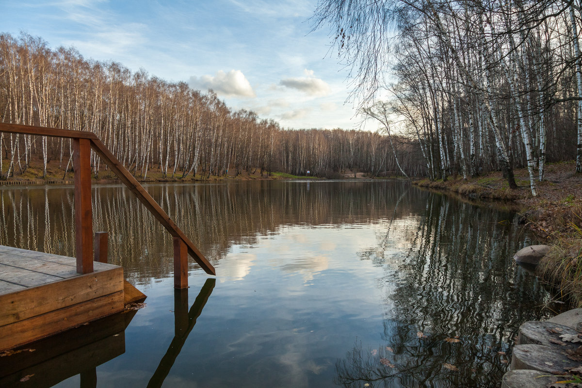 Осенний пейзаж у пруда - Константин Фролов