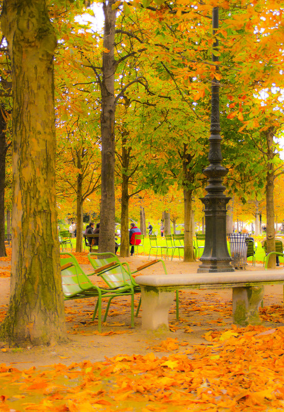 Осень в Париже - Oxana Eremeeva
