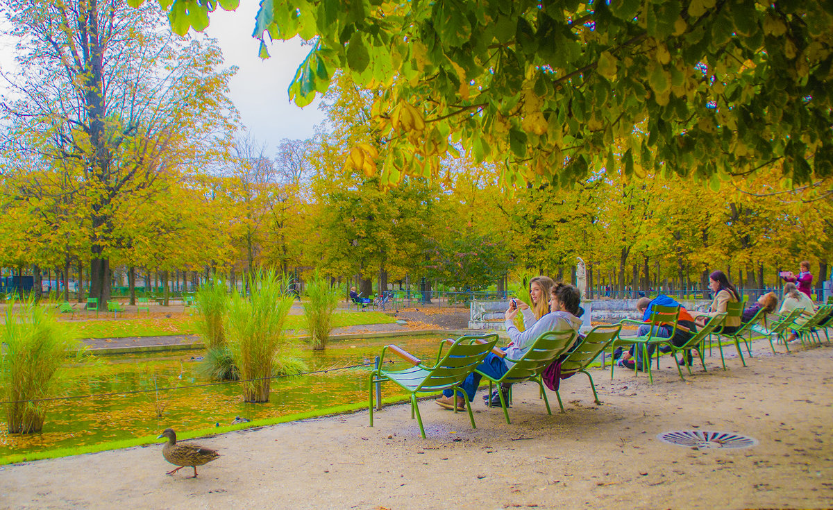Осень в Париже. - Oxana Eremeeva