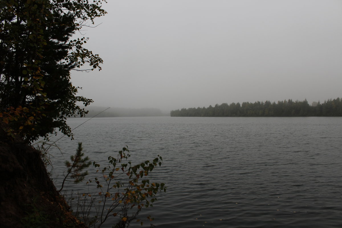 утро на озере - Sergey Ganja
