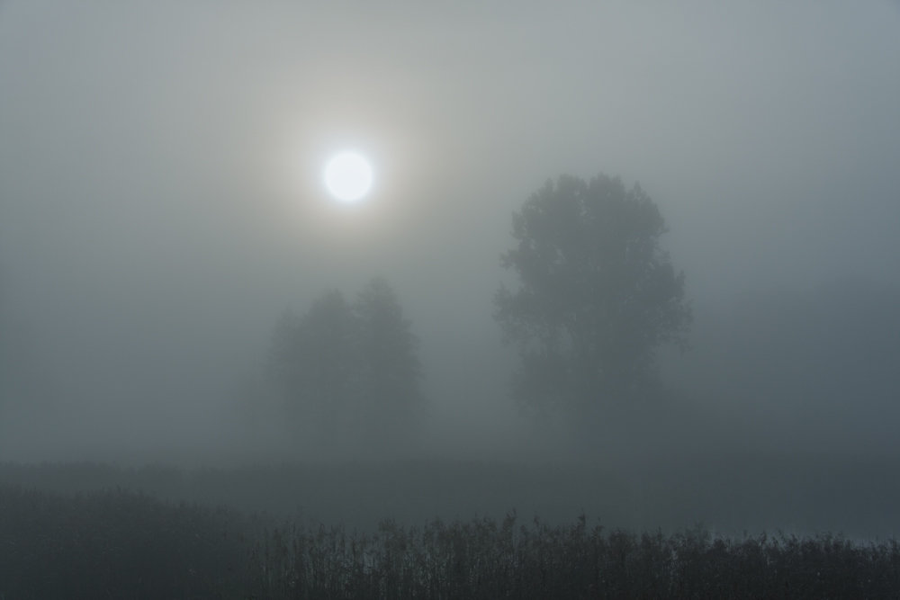 Сквозь густой туман - Олег Самотохин
