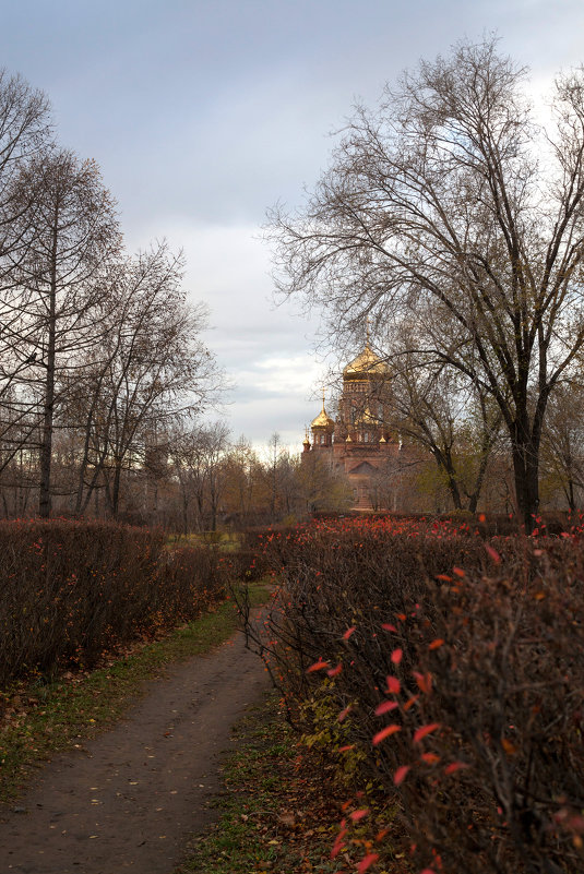 Ноябрь - Anastasya Udacha Sosnovaya