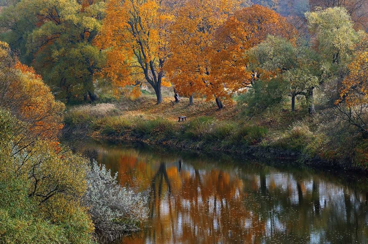осень на Анграпе - Владимир Матва