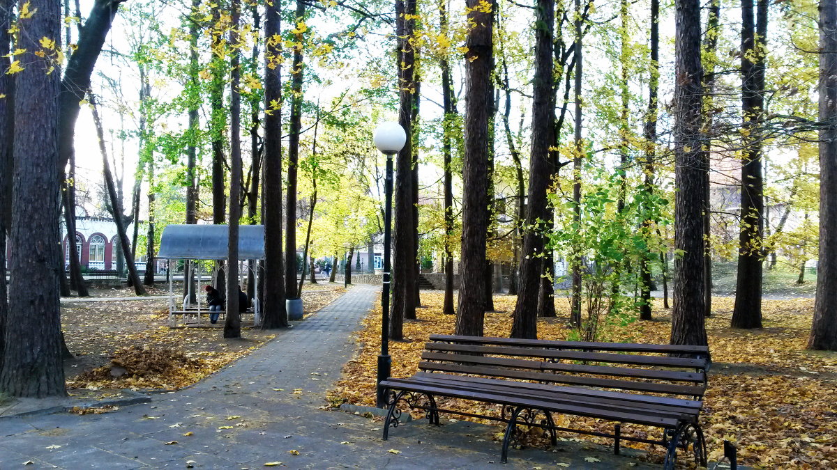 Осенний парк - Екатерина 