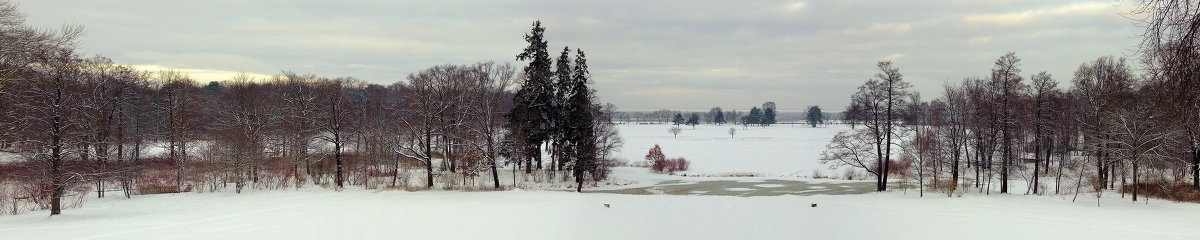 Панорама парка Александрия зимой - Ярослав Трубников 