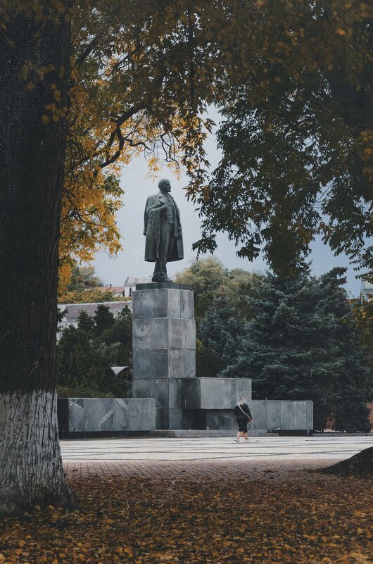 Мимо вождя. - Анатолий Щербак