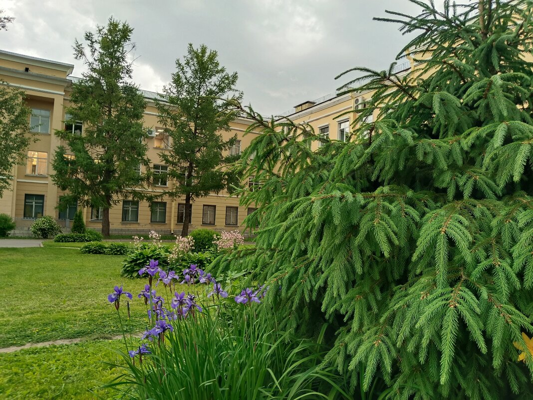 Перед грозой... - Мария Васильева