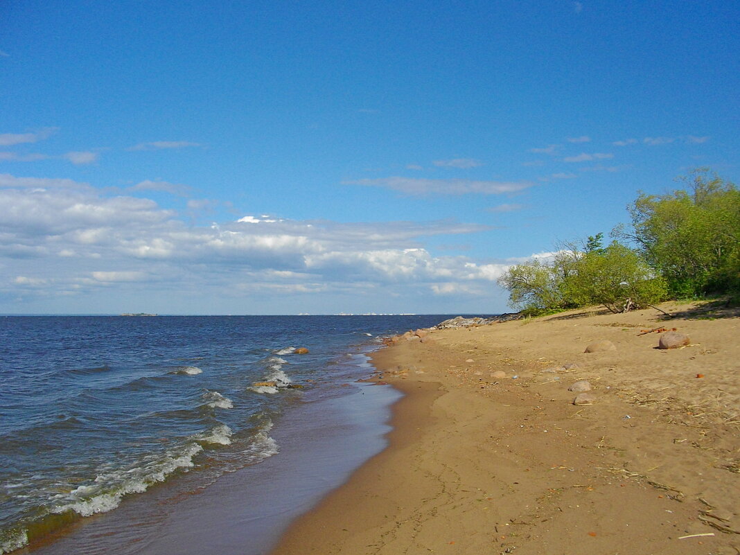 На берегу Финского залива - Лия ☼