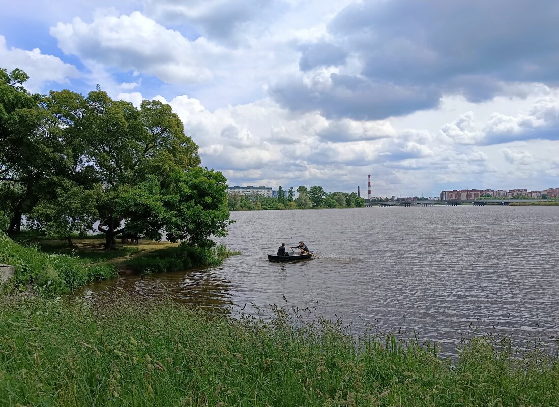 На реке. Против течения. - Мария Васильева