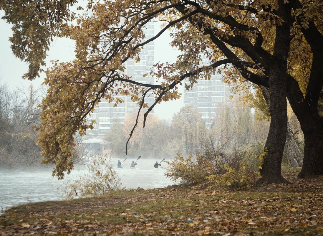 По следам Кубанского тумана. - Анатолий Щербак