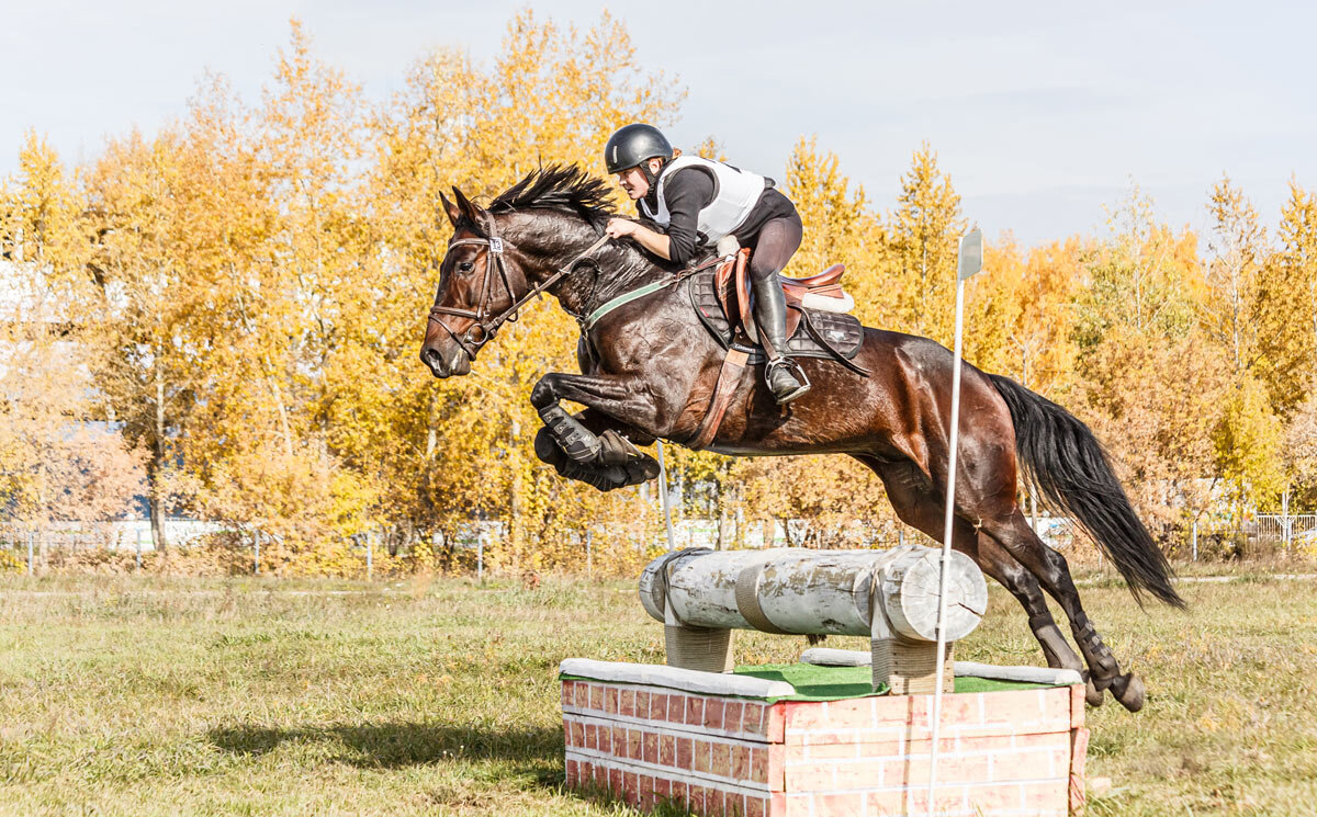 Кросс - SanSan 