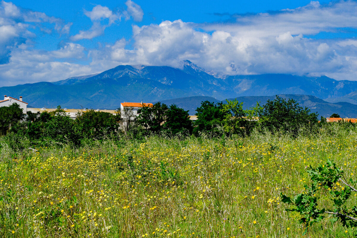 На фоне самой высокой горы в Пиренеях (в облаках) - Георгий А