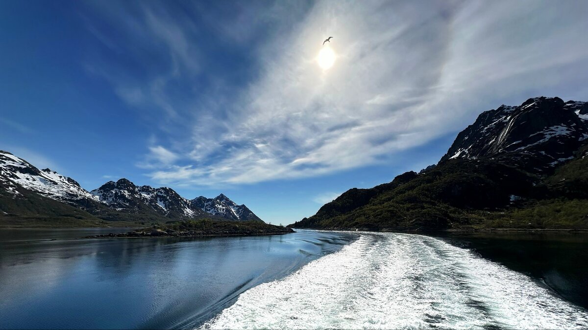 Лето в Северном Ледовитом океане /Норвегия/...Ein Sommer im Nordpolarmeer / Norwegen / - "The Natural World" Александер