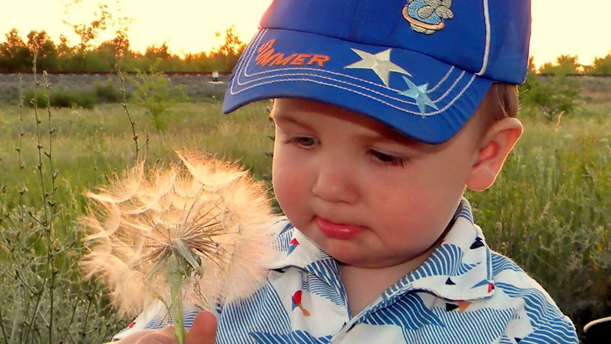 Пухлощёкий одуванчик! - Игорь Родионов