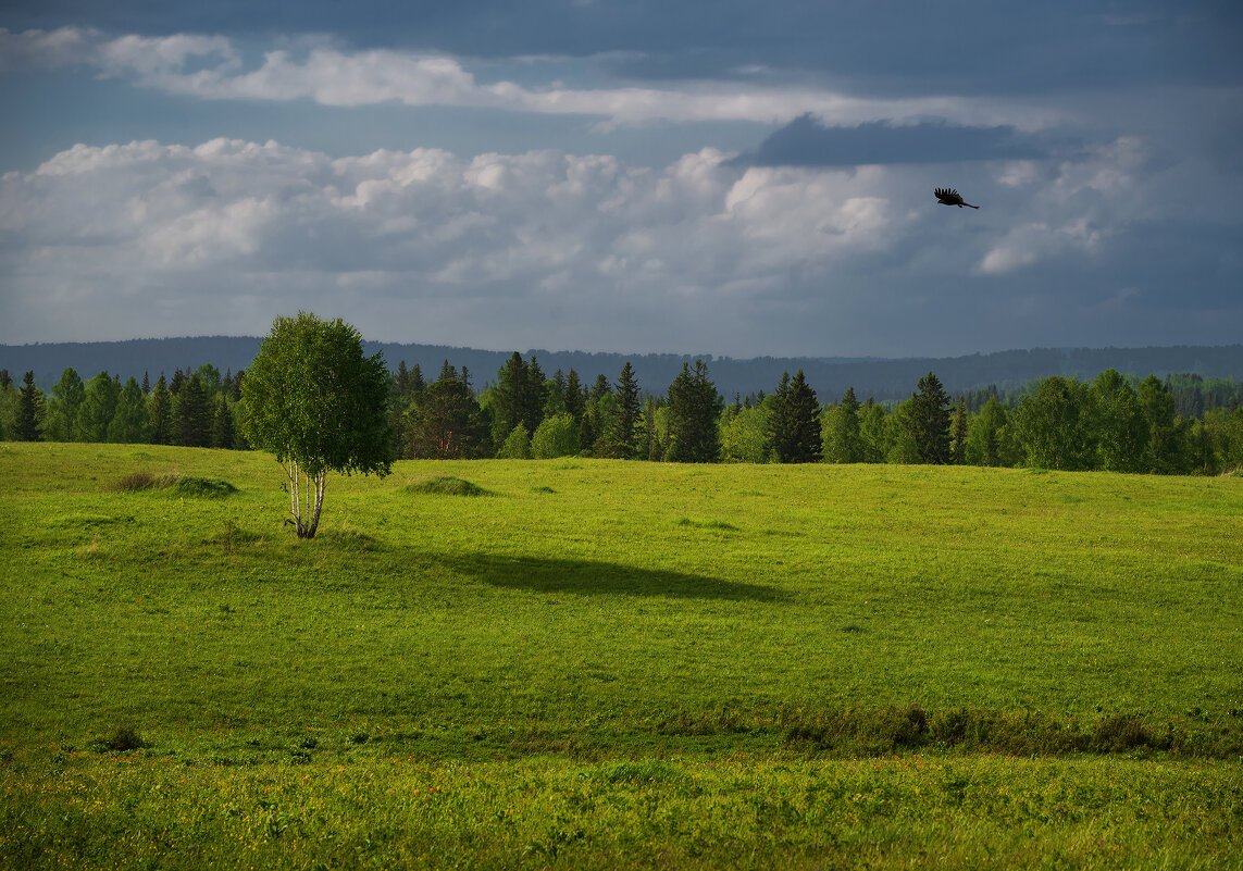 * - Александр Иванов