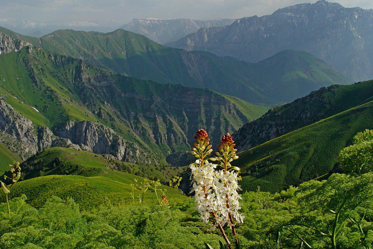 ДОЛИНА КУЛАСЬИ, всё выше. - Виктор Осипчук