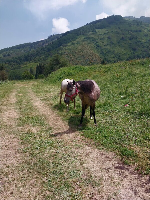 Ak Bulak. - Murat Bukaev 