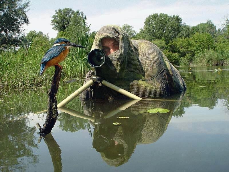 Фотограф - Светлана Хращевская