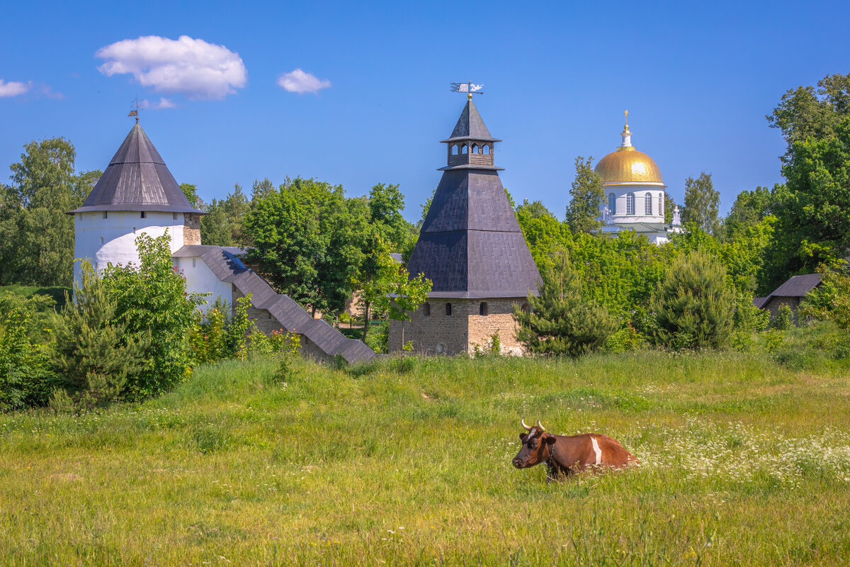 **** - Елизавета .