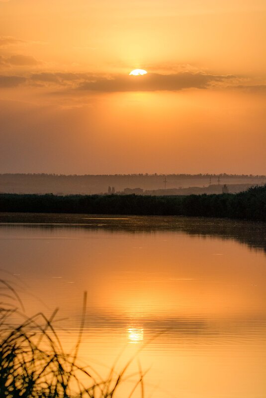 *** - Николай С