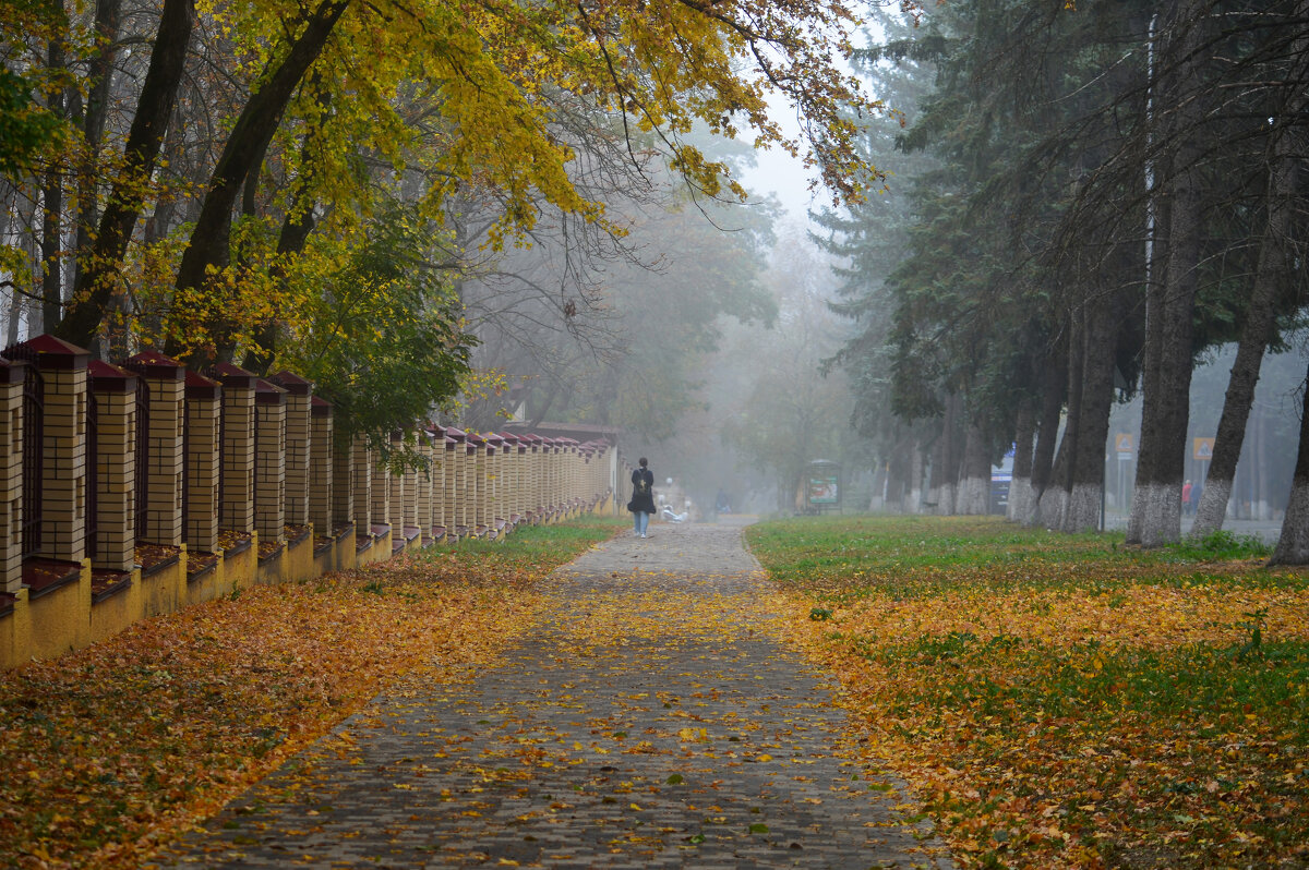 Осенняя прогулка...... - Юрий Цыплятников