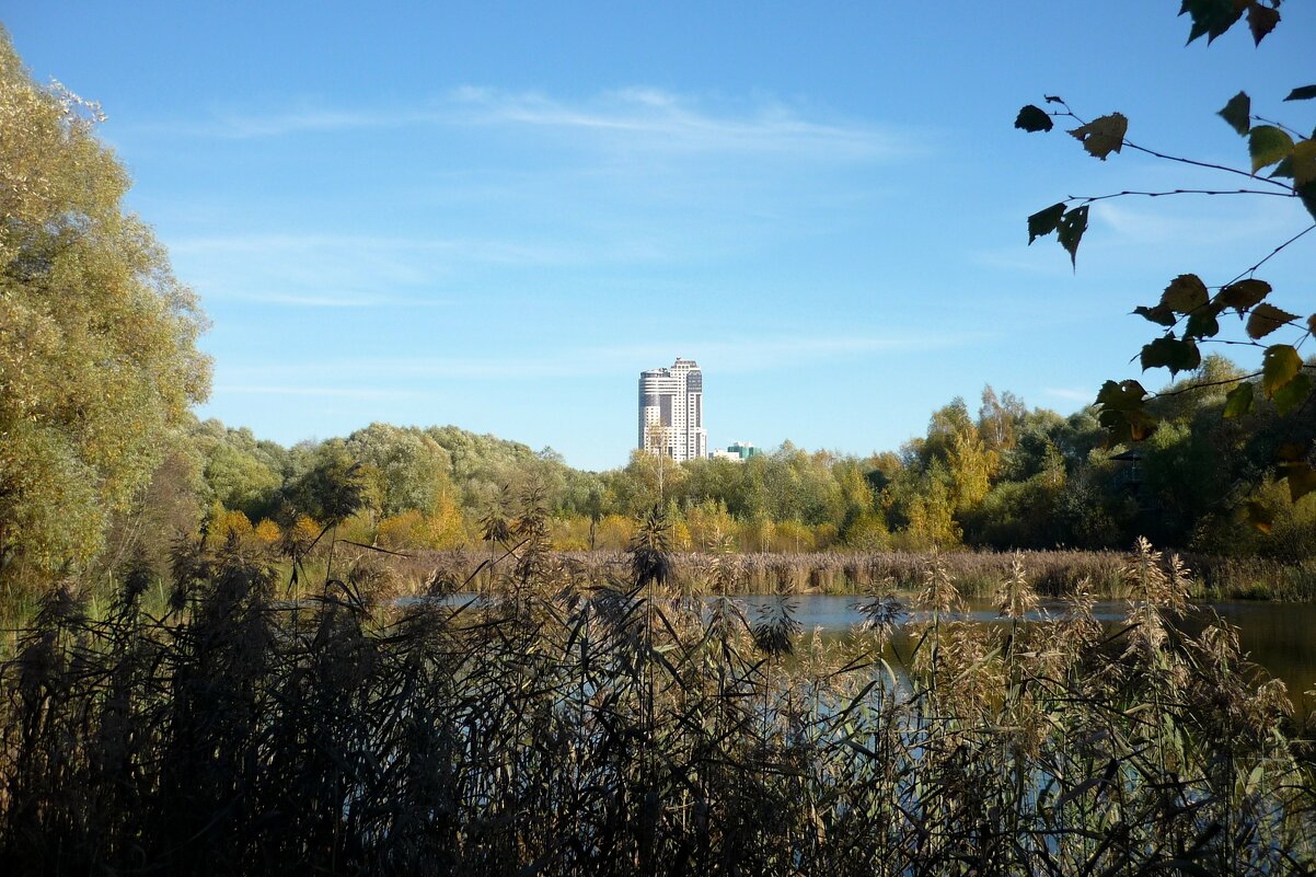 природа в городе - Дмитрий И_