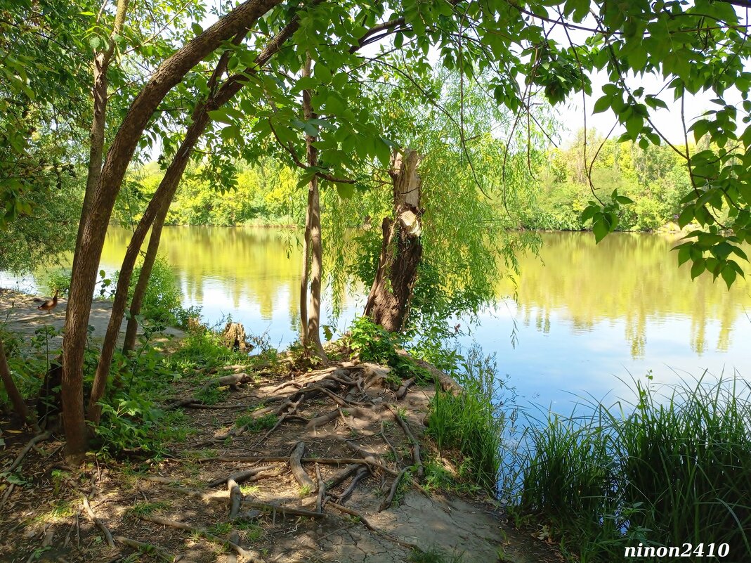 В ростовском зоопарке - Нина Бутко