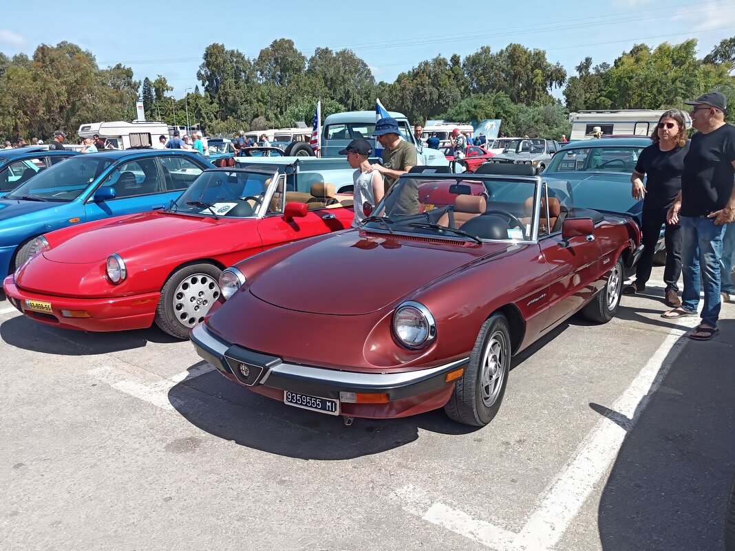 Alfa Romeo Spider Veloce - Argaman Табашник