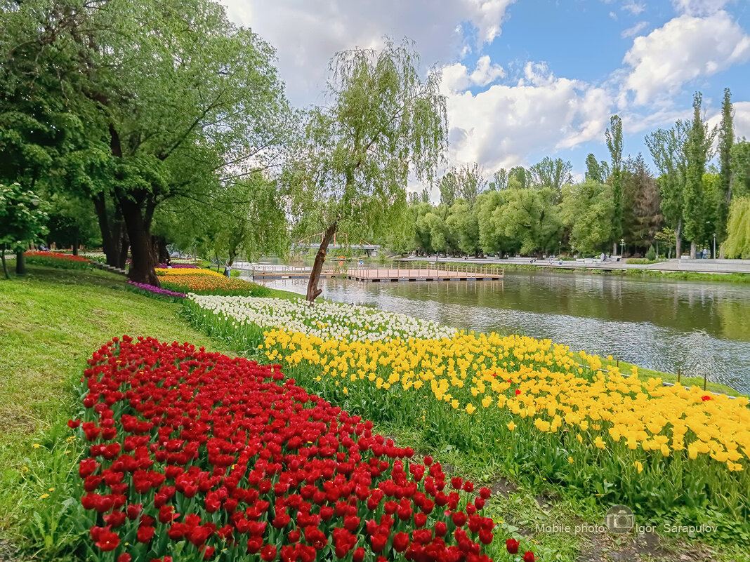 Весна в Белгороде - Игорь Сарапулов