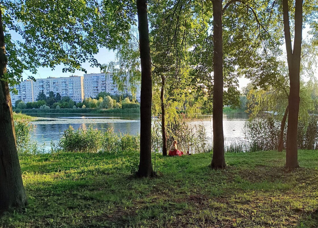 У реки. В лучах заходящего солнца. - Мария Васильева