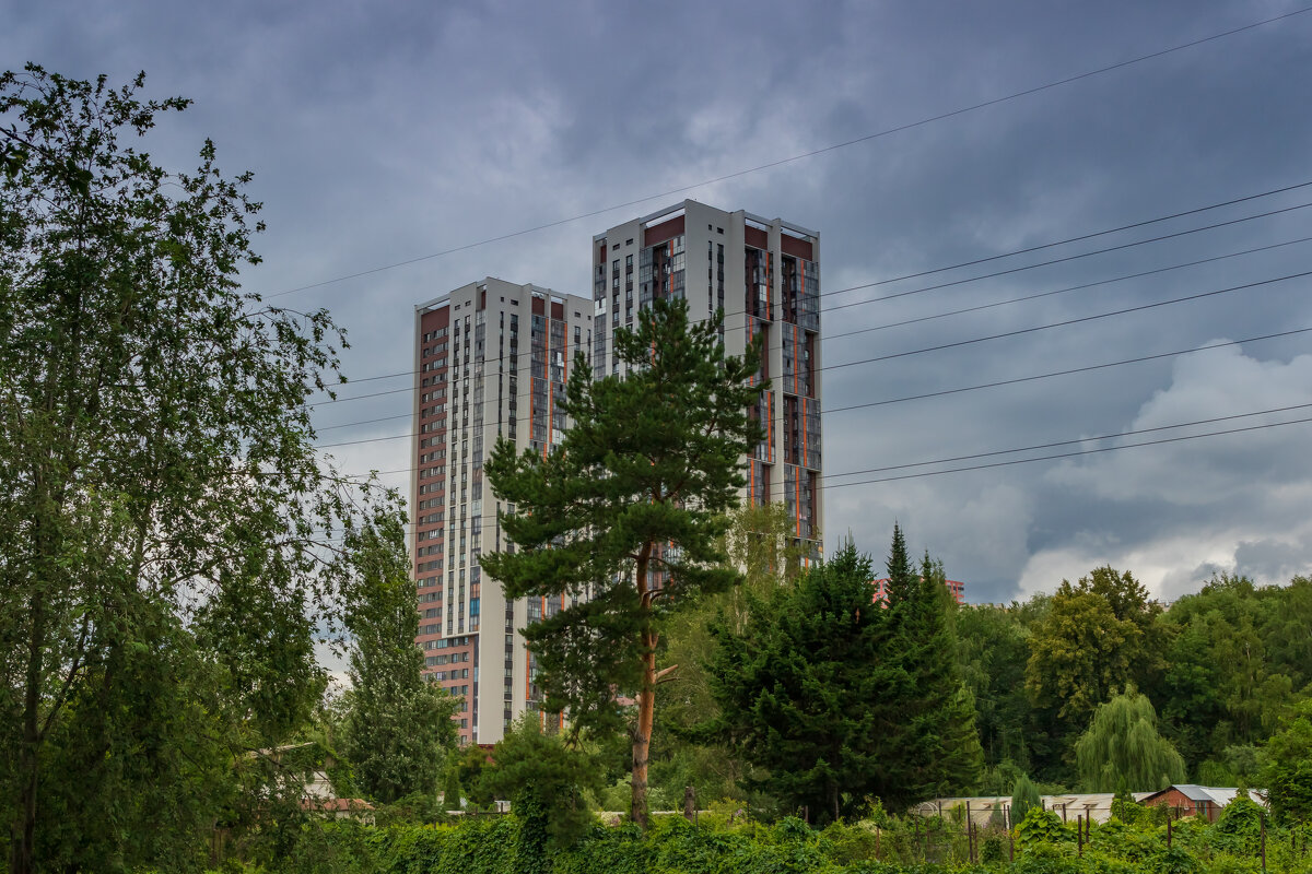 Фото.25.07.2024.Екатеринбург.Пасмурным днём в Ботаническом Саду - Михаил Пименов