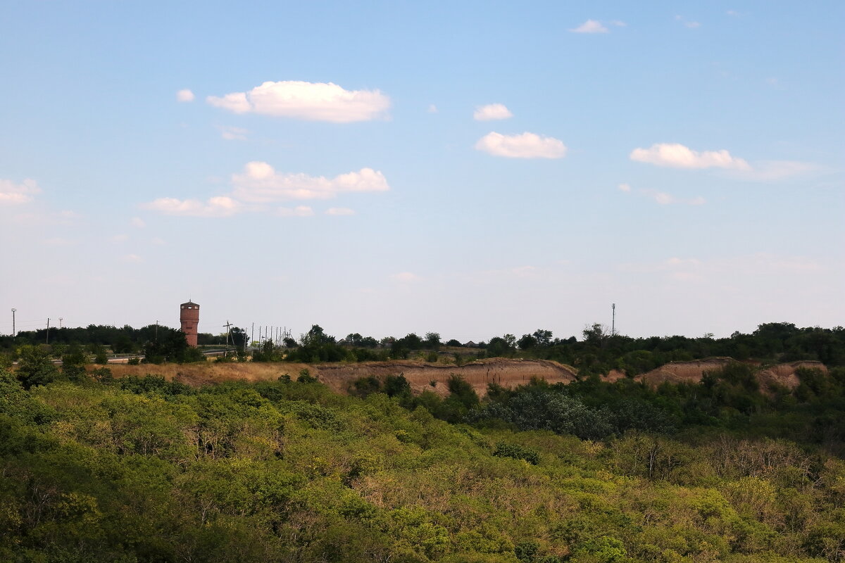 Кубанский лес возле п. Краснокубанский - Олег Аринц