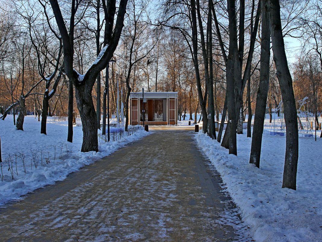 Люблинский парк - Игорь Белоногов