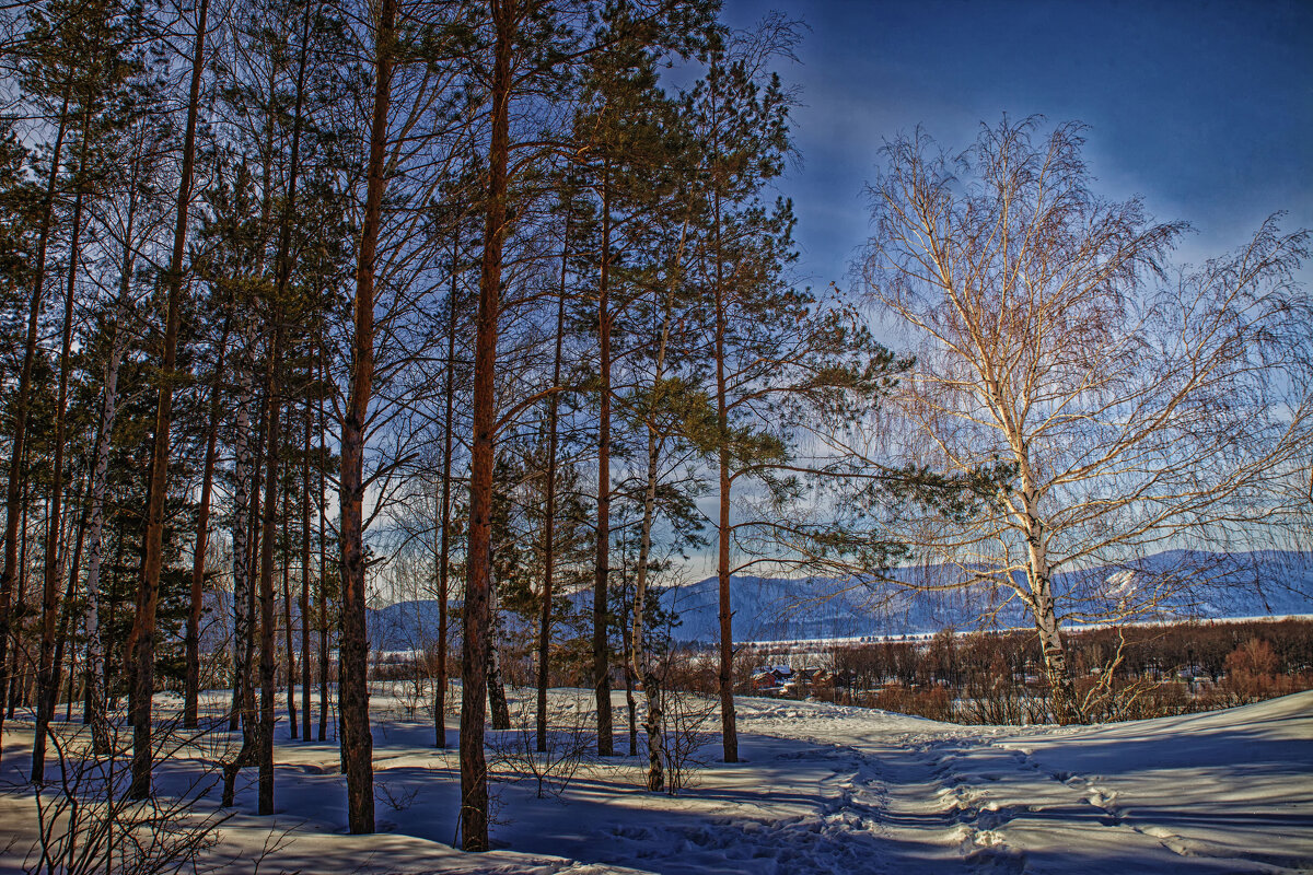 ... - Валерий 