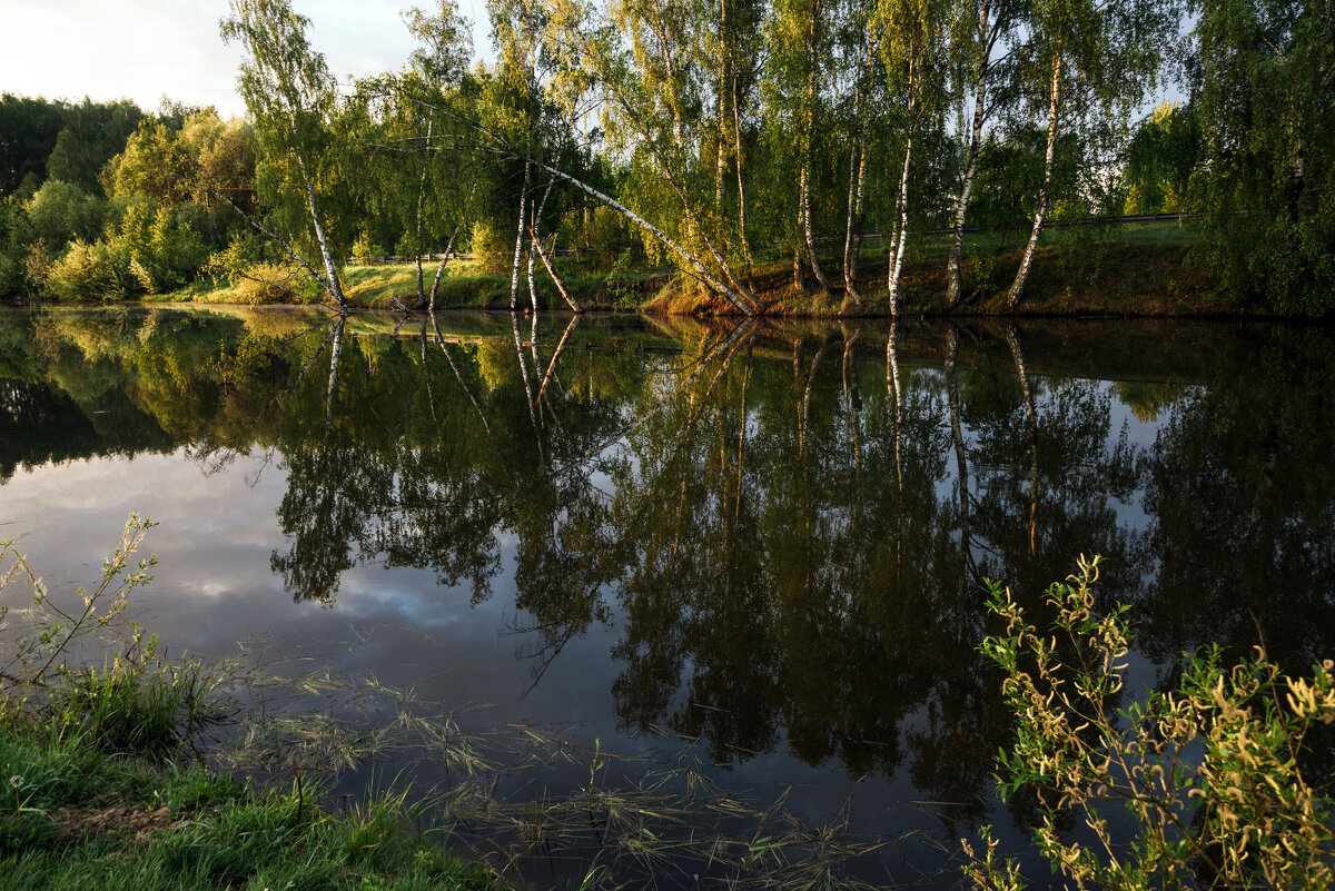 *** - Владимир Безбородов