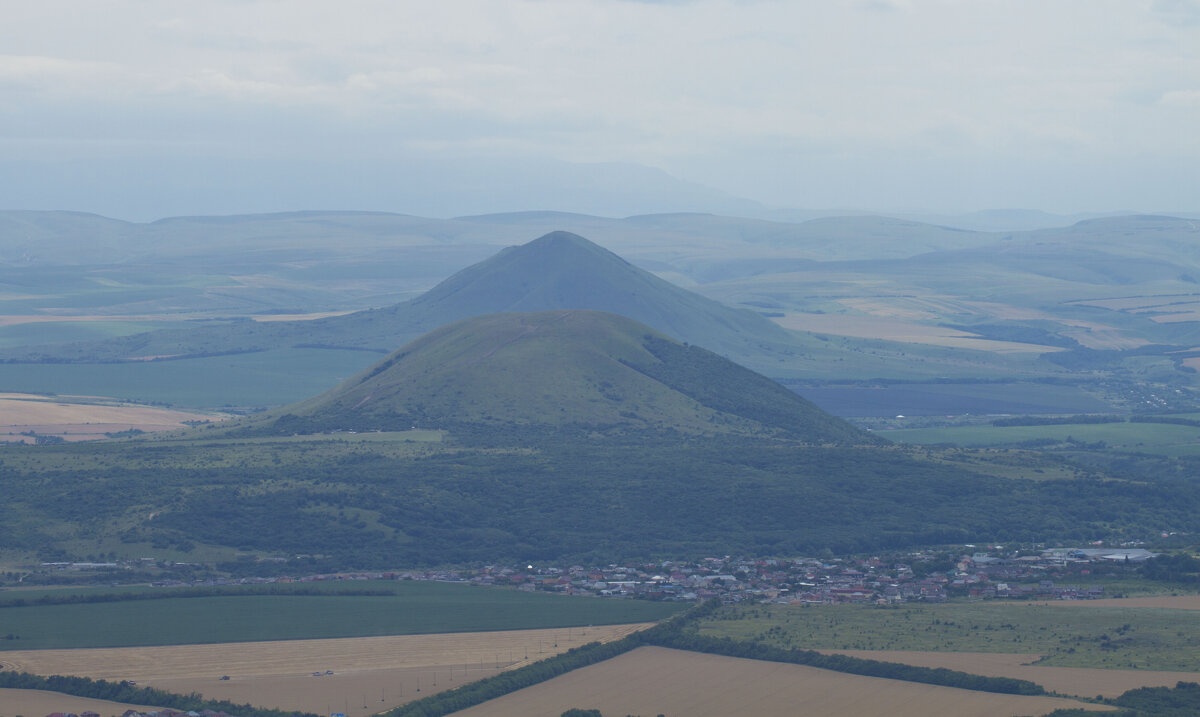 КМВ - Пасечник 