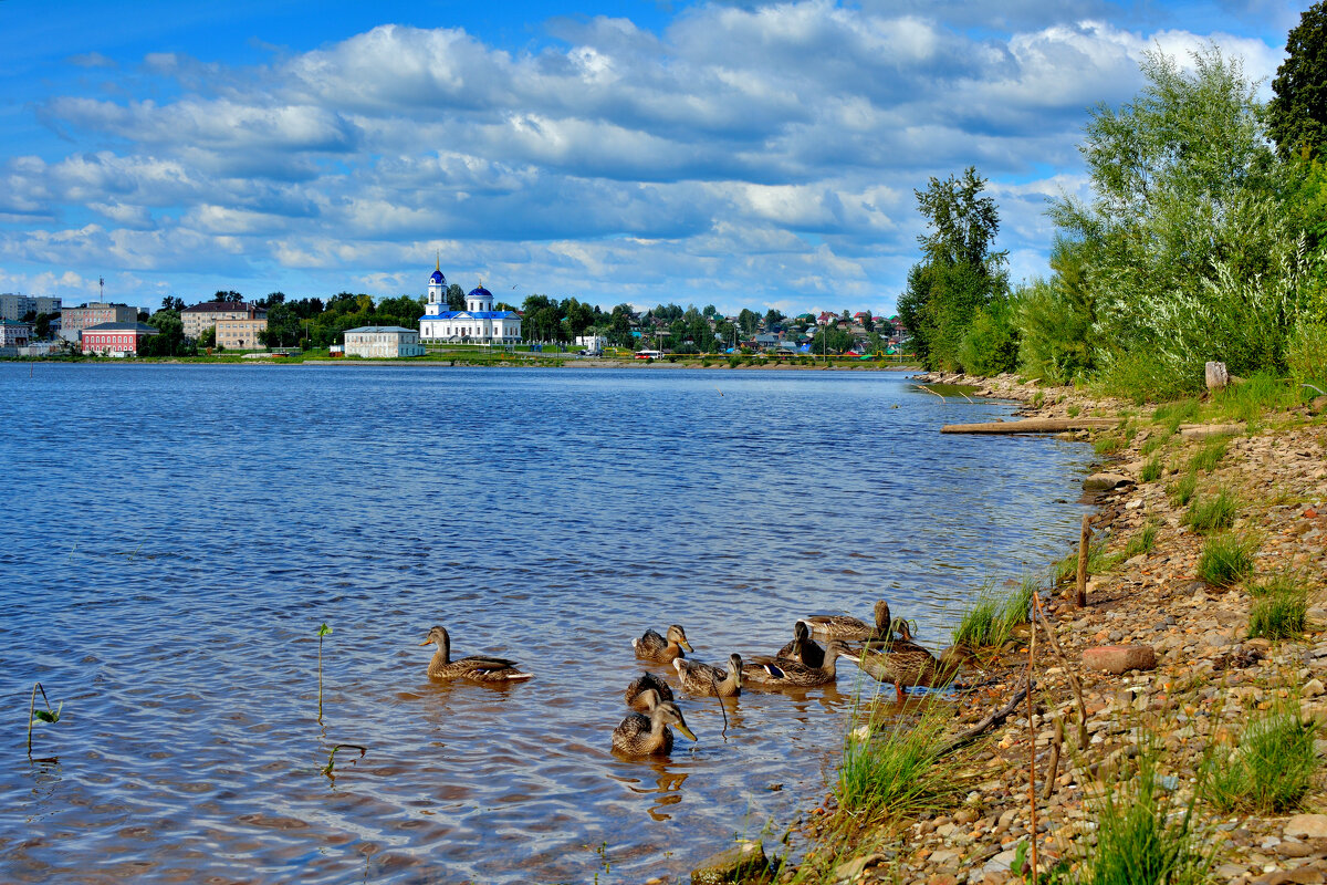 * - Александр Зуев