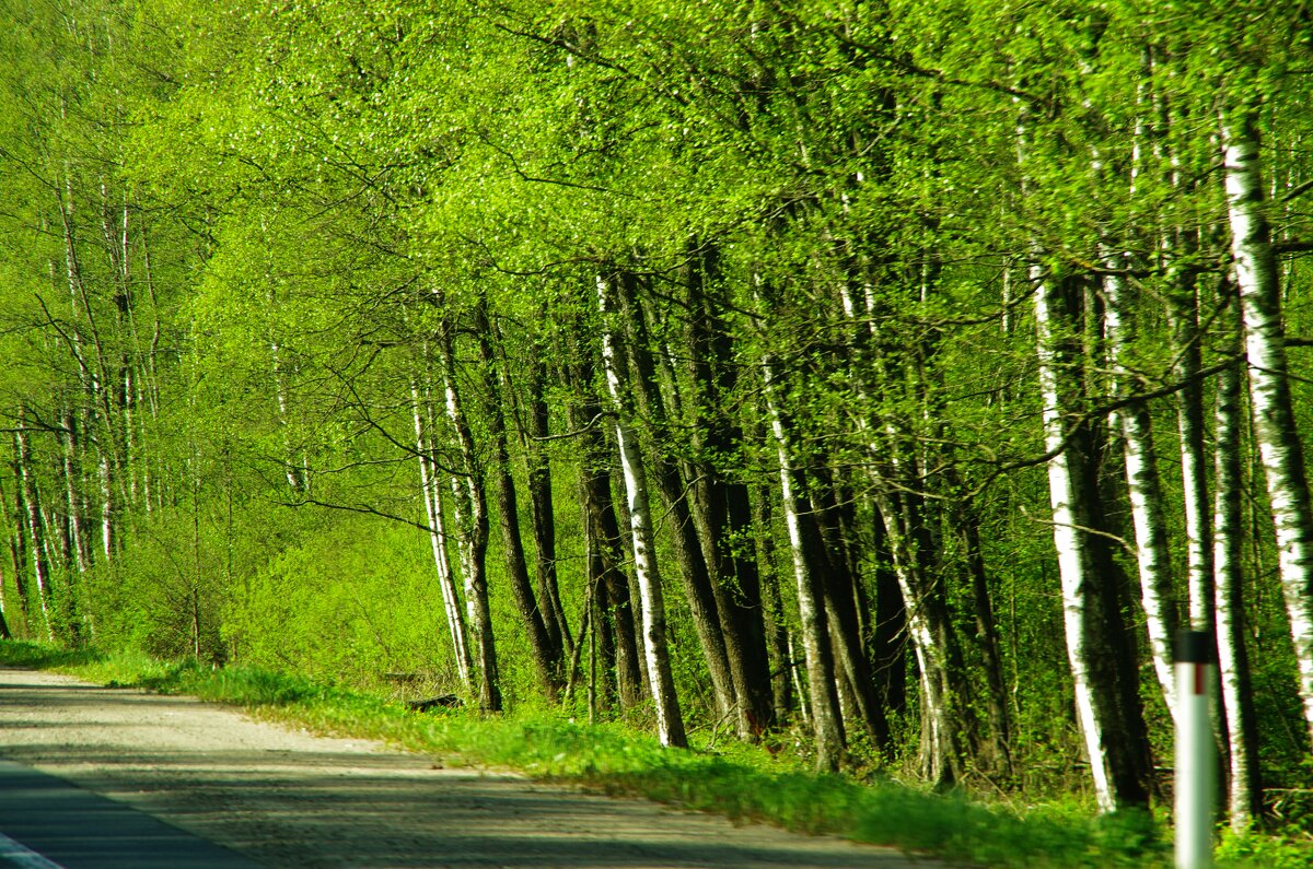 ... - Юрий Куликов