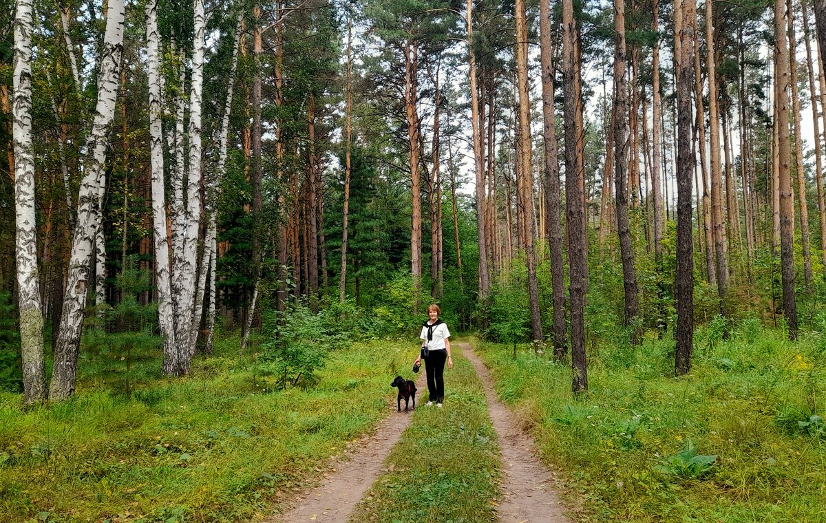 Прогулка по Сибирскому лесу . - Мила Бовкун