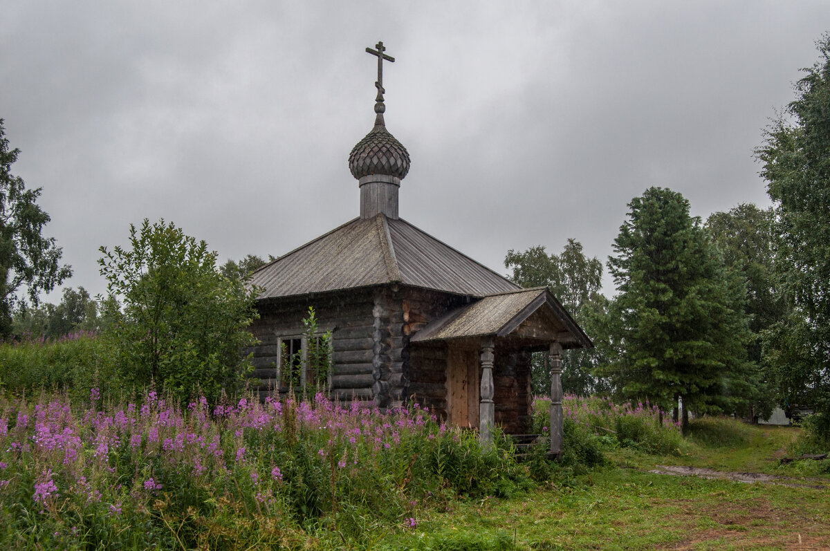 ... - Владимир Новиков