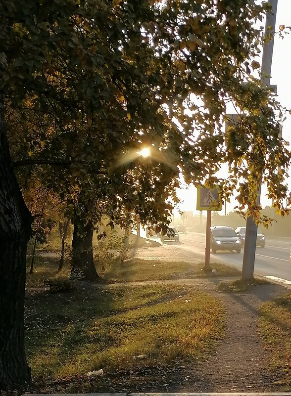 Вечереет... - Любовь Иванова