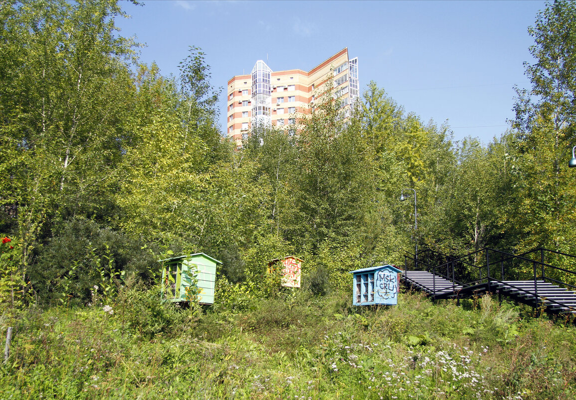 В Долине реки Егошихи - Евгений Шафер