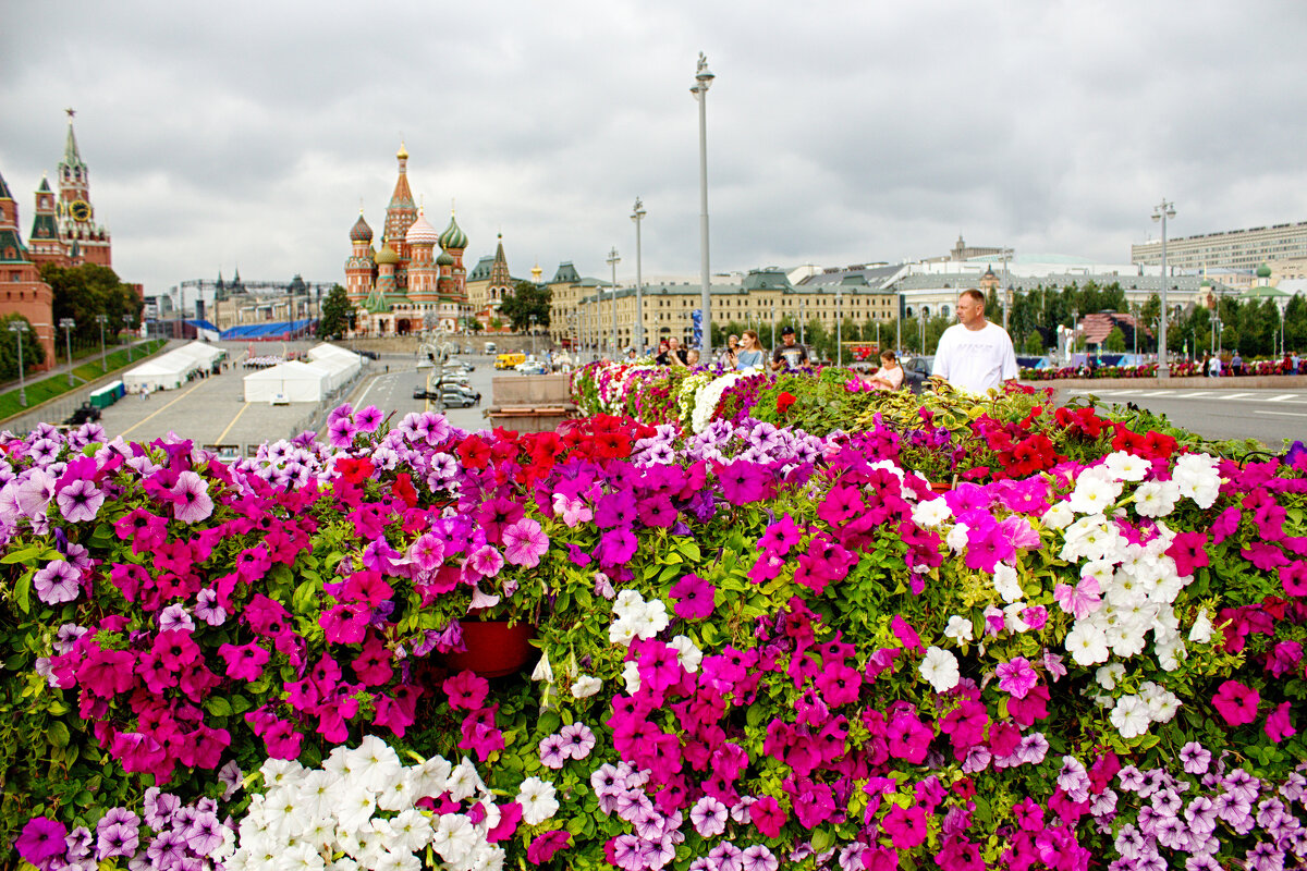 Москва в цветах - Татьяна Семенова