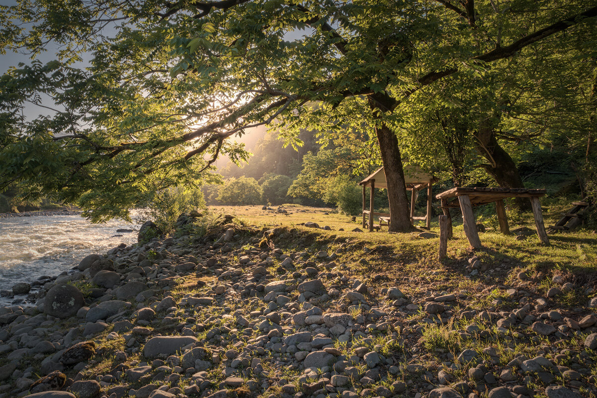 Hazel Tree By The River - Fuseboy 